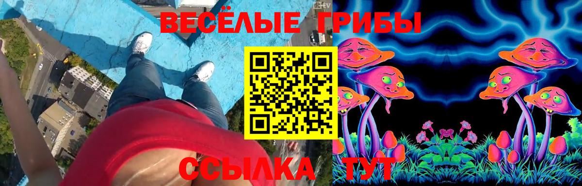 Псилоцибиновые грибы Psilocybe  Вход с VPN  где можно купить   Ачинск 